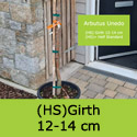 Arbutus Unedo Half Standard Girth 12-14cm